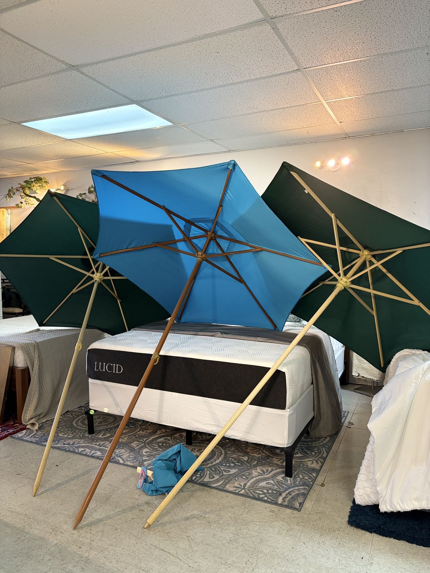 Beach Umbrellas