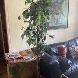 Artificial Plant