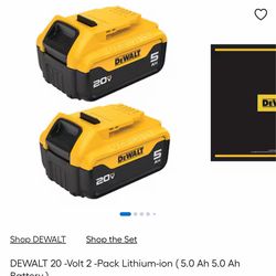 DEWALT 20 -Volt 2 -Pack Lithium-ion