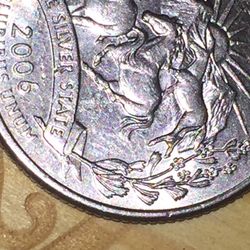 Pooping Horse Error On Quarter 
