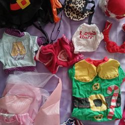 Small Dog Clothes and Accessories 