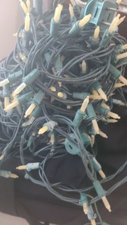 Warm White Mini String Lights Green Wire