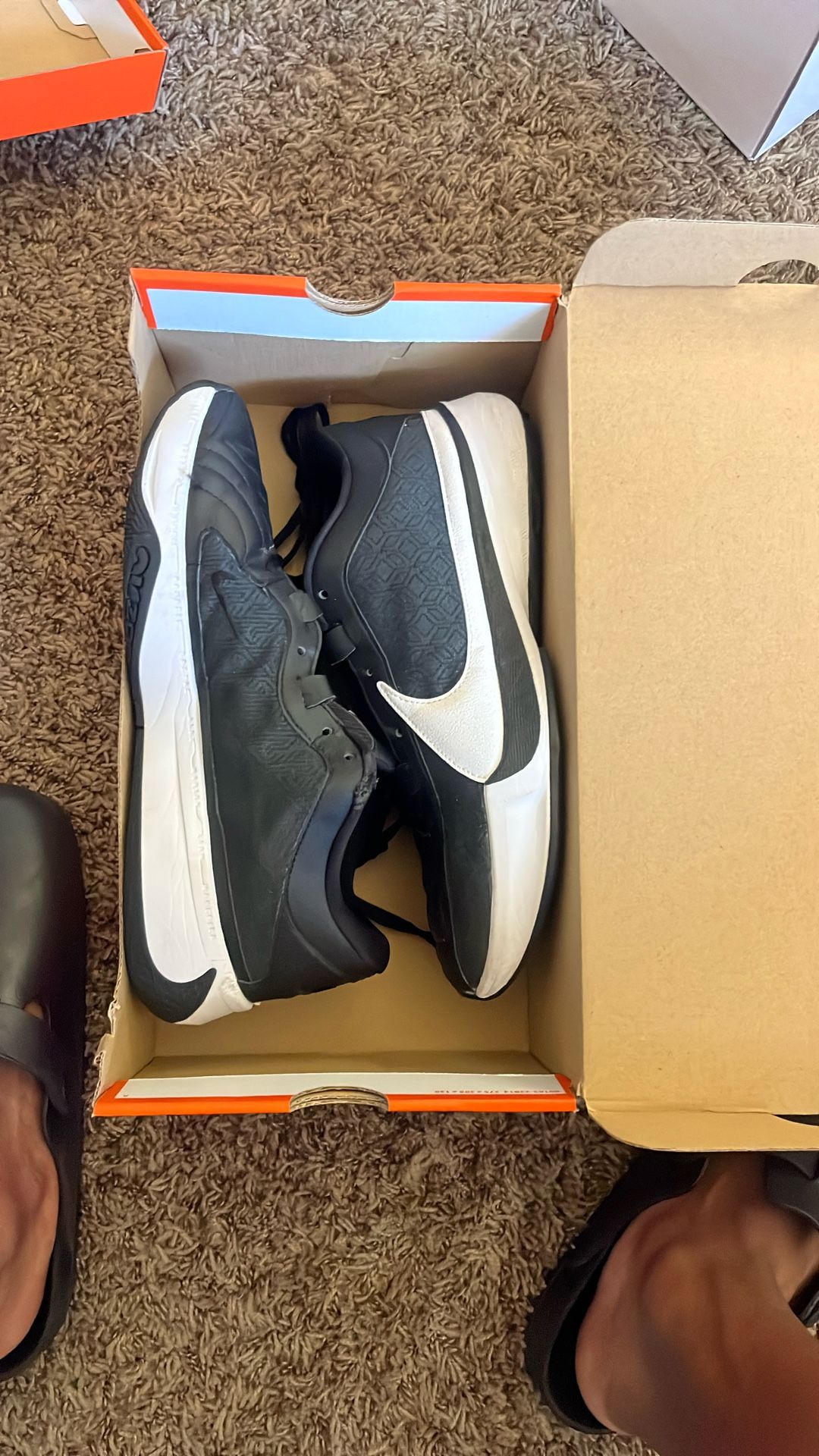 Zoom Freak 5 TB Black White