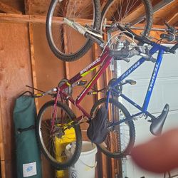 Woman's Bike