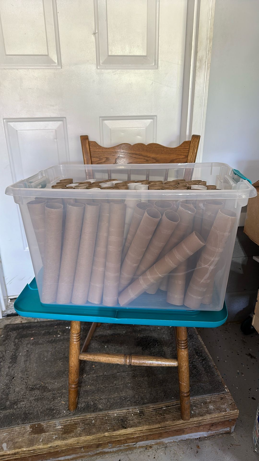 Empty / Paper Towel Rolls