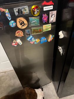 Upright Freezer