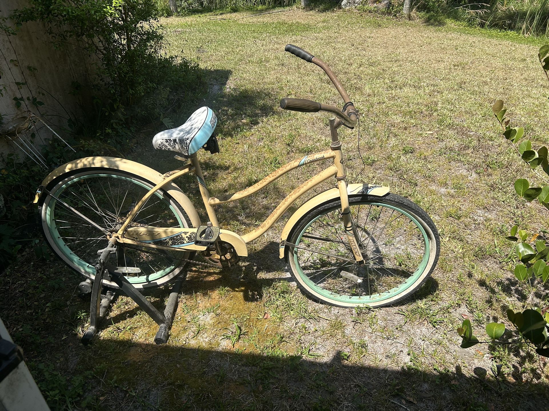 Beach Cruiser With Exercise Attachment 