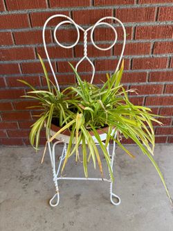 Vintage Metal Ice Cream Parlor Chair Plant Stand