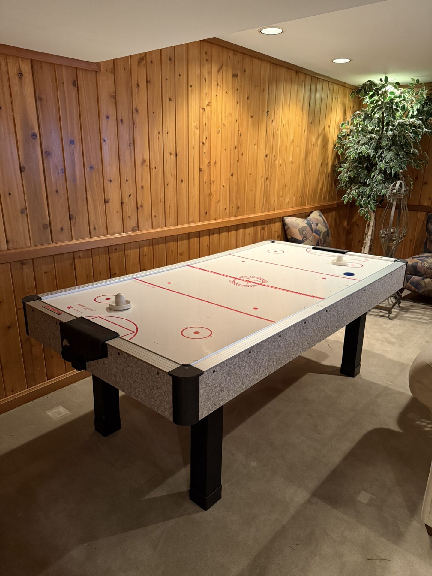 Air Hockey Table
