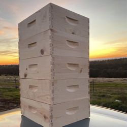 Bee Boxes Medium
