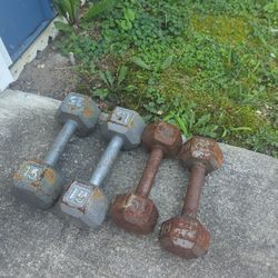 Dumbbell Weights $20