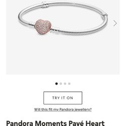 Pandora Bracelet