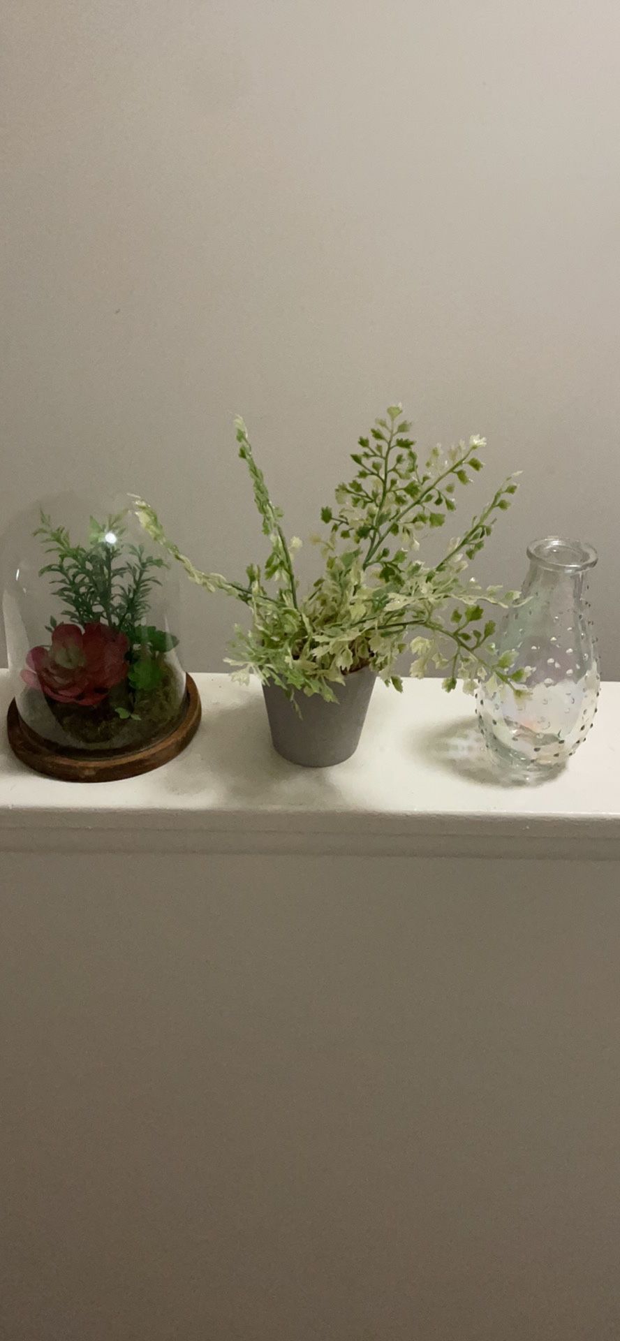 Faux Plants And Succulent Cloche And Vase For Sale 