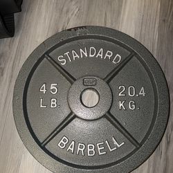 45 lb Standard Plate Weight Lifting