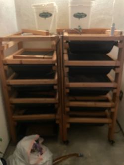 Rat Racks