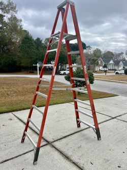 Ladder (Werner 10ft With 14 Ft Reach)