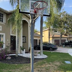 Basket Ball Hoop - Goliath - Paid $1000k at Dicks 