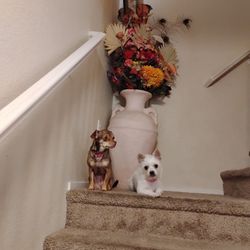 Light Pink. Large Floor Vase With Silk Flowers