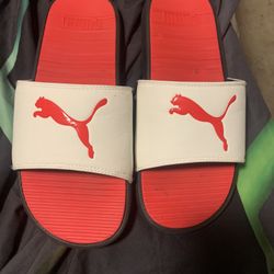 Puma Slides 
