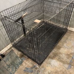Dog Cage 
