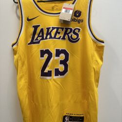 Lebron Jersey (new) 