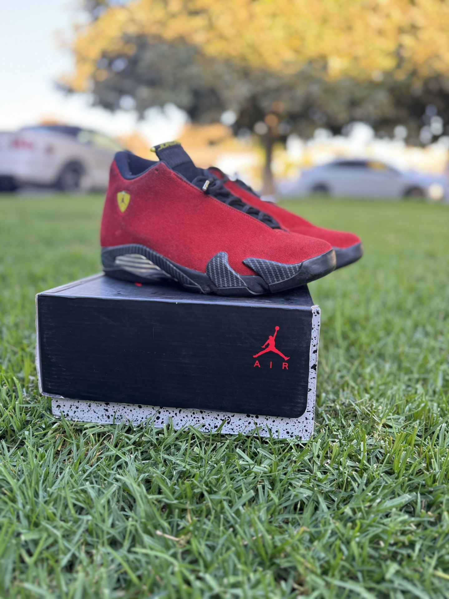 Jordan 14 Ferraris