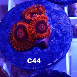 Saltwater Reef Packs Fish Tank Decorations 