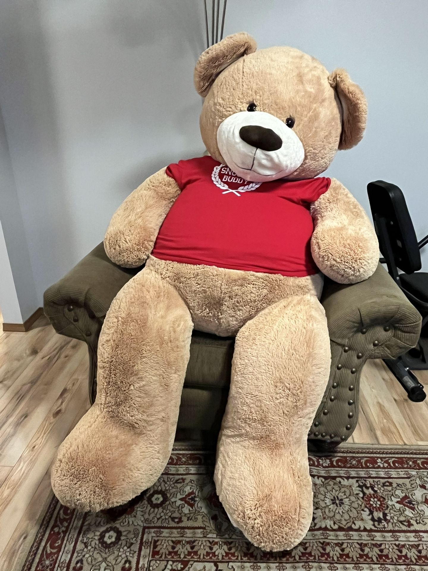 Valentine Teddy Bear