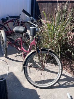 Schwinn Adult Tricycle