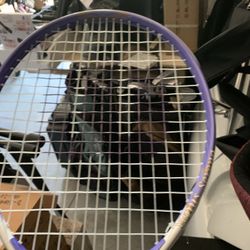 Wilson Tennis racquet