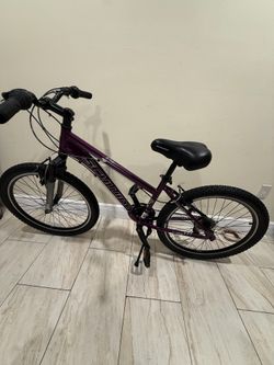 Schwinn bike accepting offers