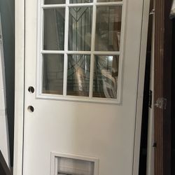 32 X 8 Inch Right Hand Exterior Door With a Pet a Guard