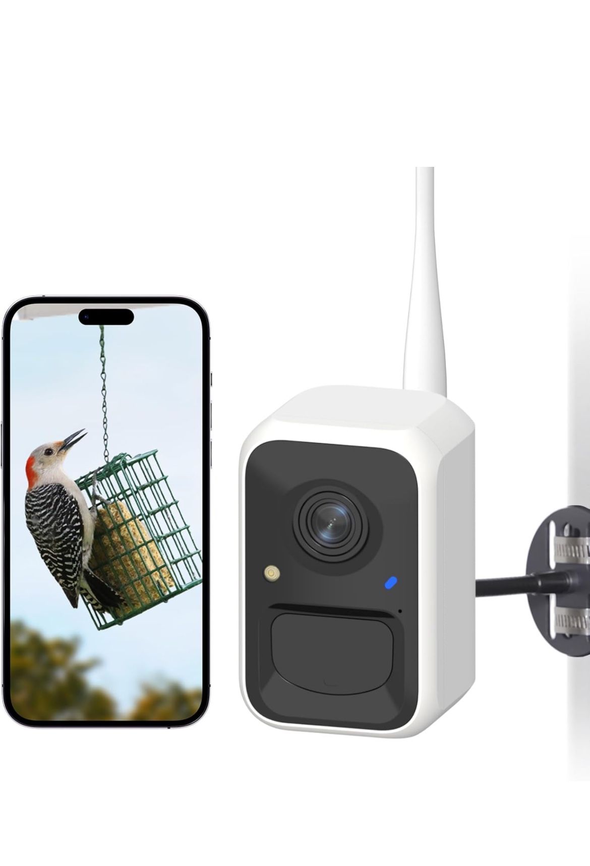 NETVUE Birdfy Lite Cam, Black and White