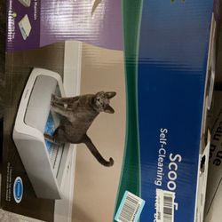Self Cleaning Cat Litter Box 
