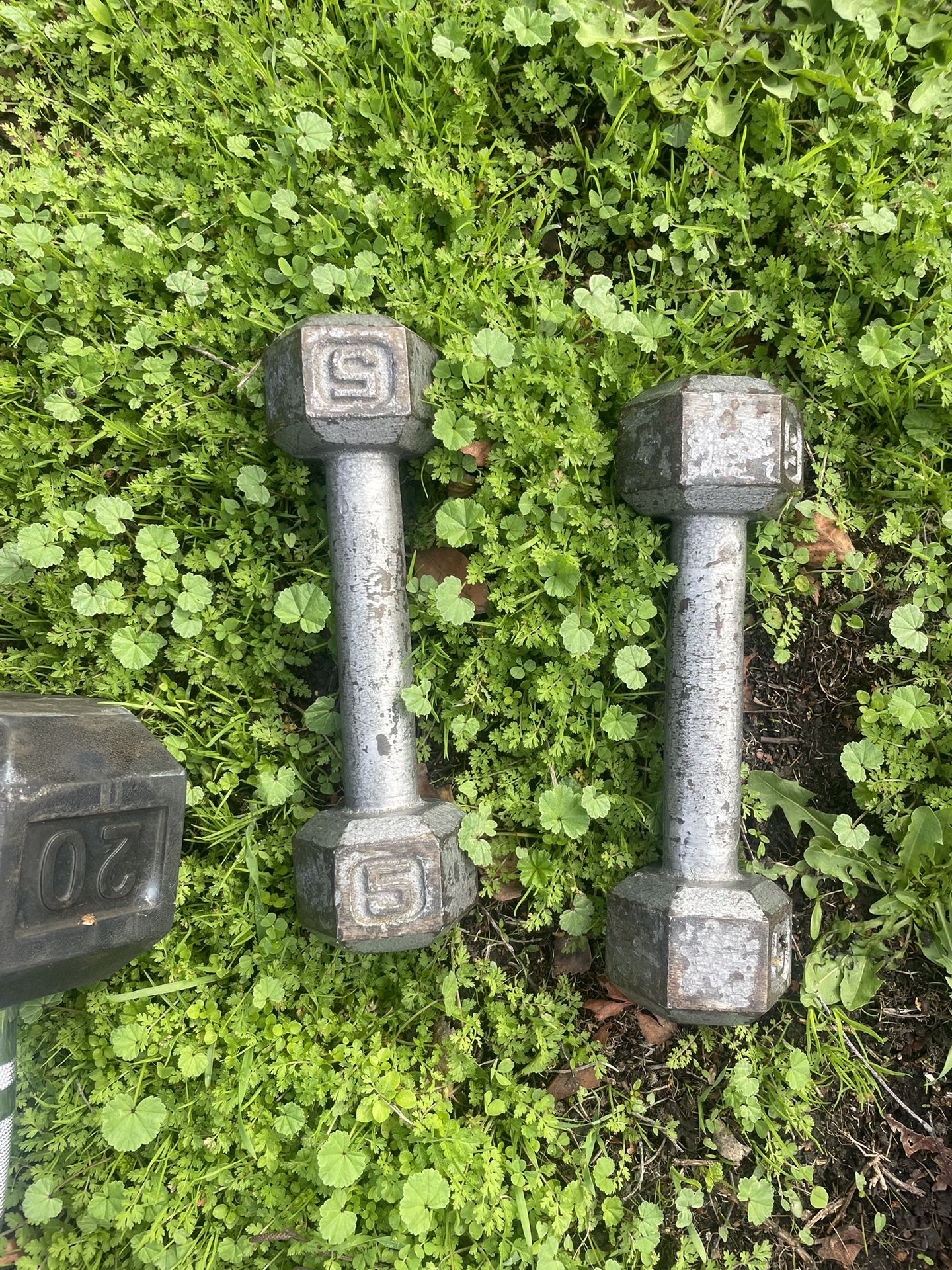 5 Pound Dumbbells