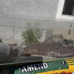 Ultum Nature Systems 90L Glass Tank OBO