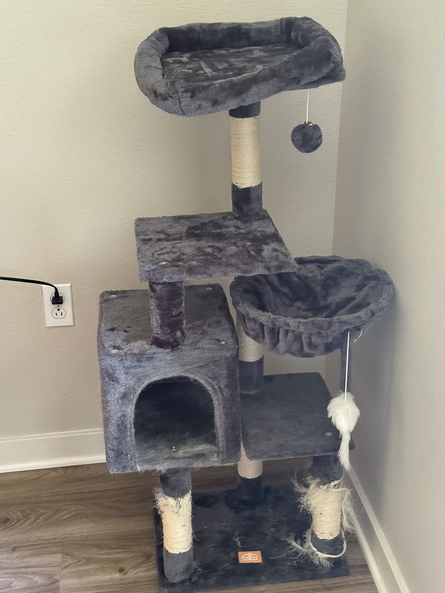 “Helping My Cat Downside “