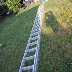40 Feet 