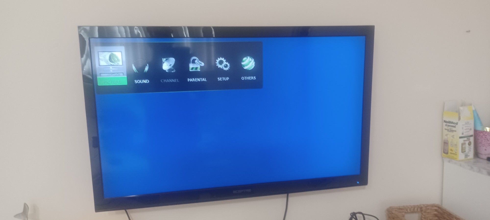 TV