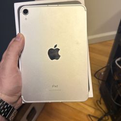 iPad Mini 6 256GB, Cellular Unlocked, brand New for Sale in