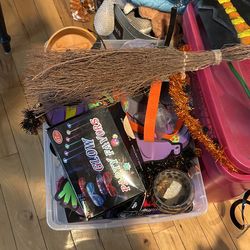 A Whole Bunch Of Halloween Decorations/costumes All Like New