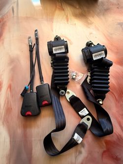 Can Am Safety Belt Harness