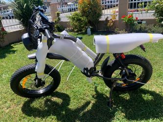 NEW POLEEJIEK ELECTRIC BIKE
