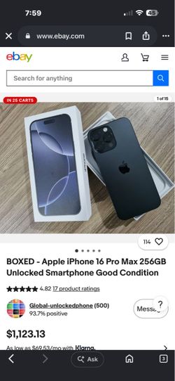 iPhone 16 pro max