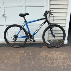 Nishiki Bike 