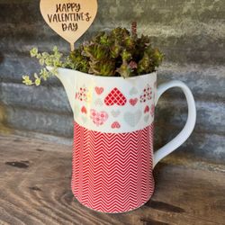 Valentines Day Gifts Succulent Plant Flowers 