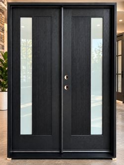 Modern Black Double Entry Door with Glass Panels