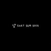 Salt Sun and Soil 