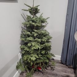 FREE Real Christmas Tree With Bucket