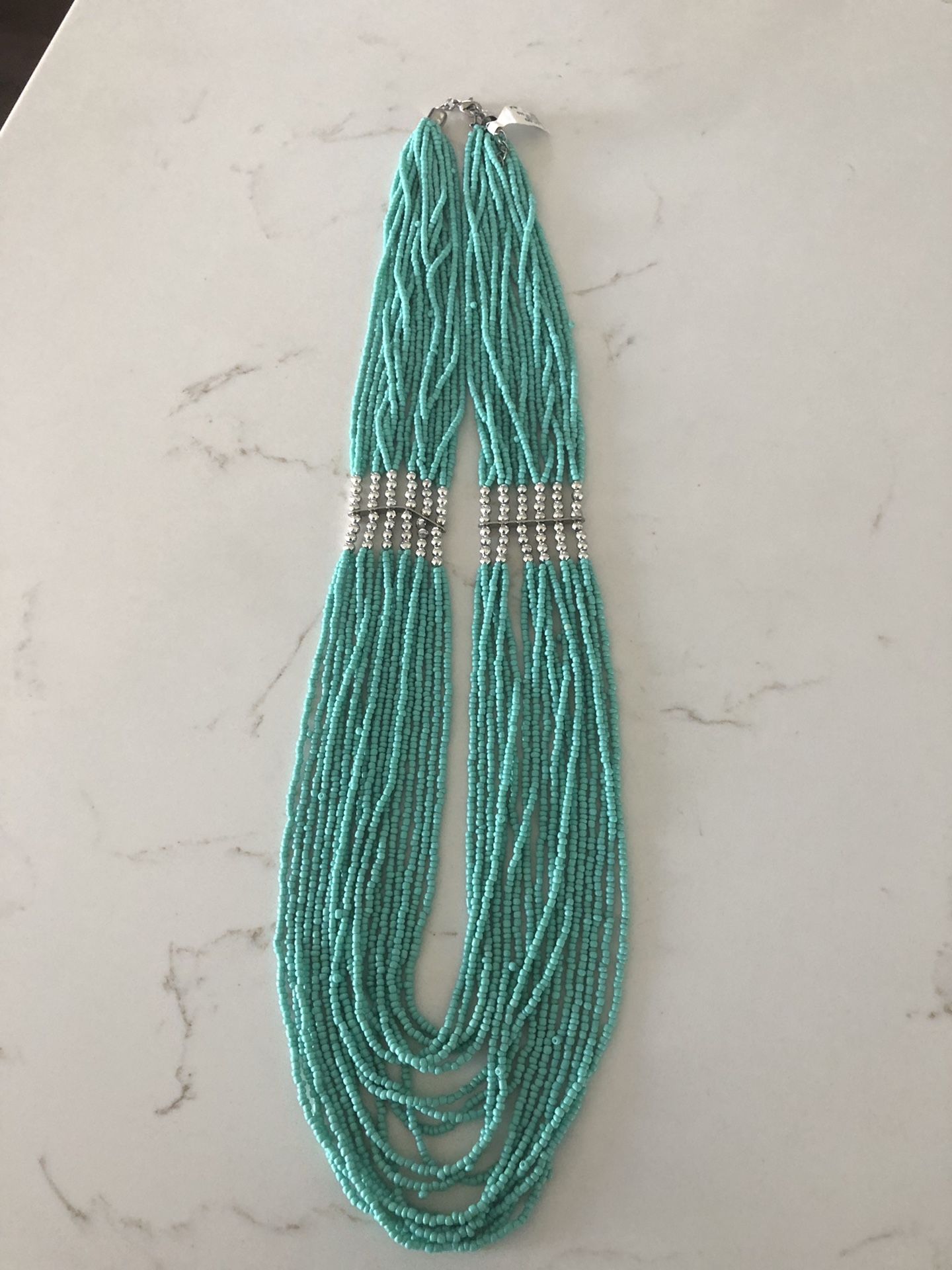 Turquoise necklace. From Francesca’s. Never worn.